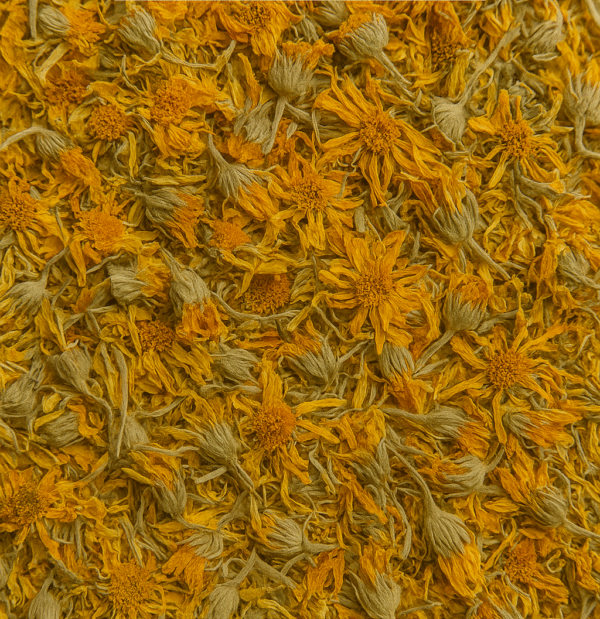 FLOR DE ARNICA