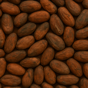 CACAO SEMILLA