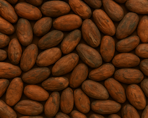 CACAO SEMILLA