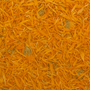 CALENDULA
