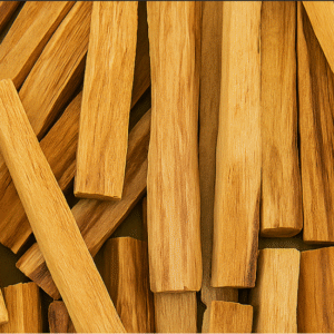 PALO SANTO