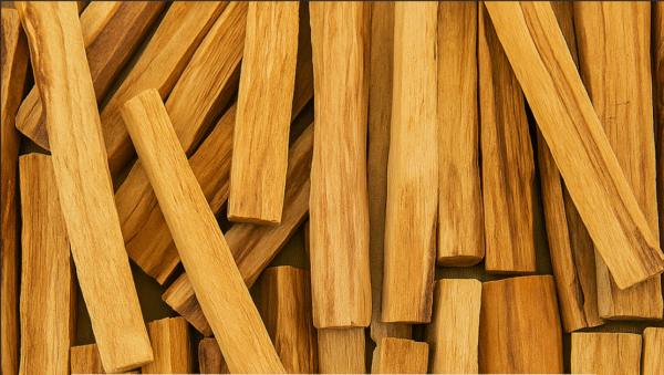 PALO SANTO