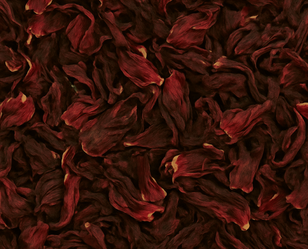 FLOR DE JAMAICA