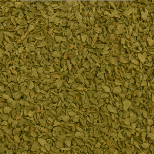 OREGANO