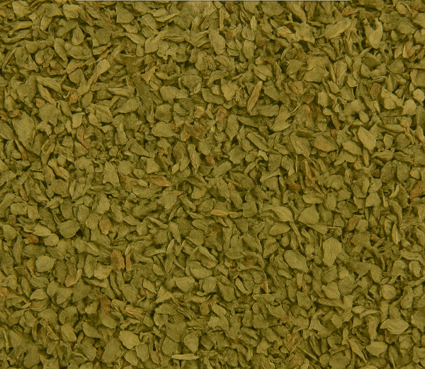 OREGANO